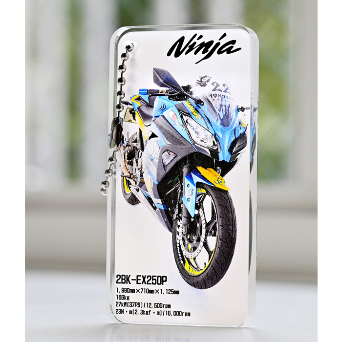 アクリルドミノ